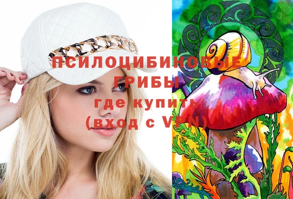 мет Медвежьегорск
