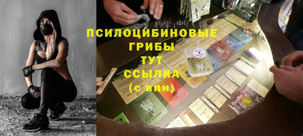 мет Медвежьегорск