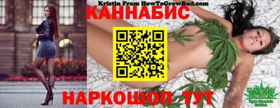 spice Кинель