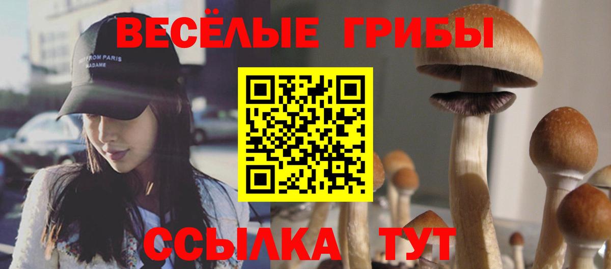 Псилоцибиновые грибы Magic Shrooms Симферополь